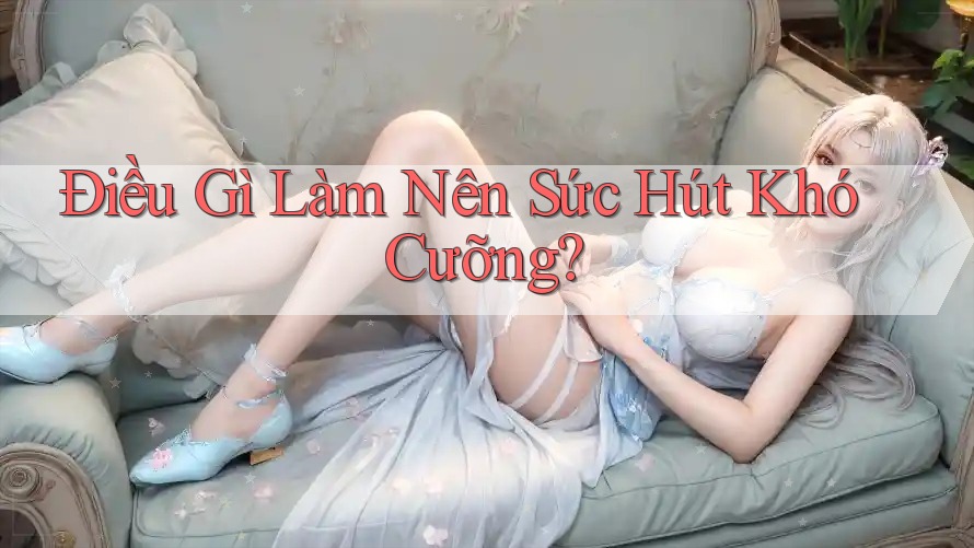 Điều Gì Làm Nên Sức Hút Khó Cưỡng?