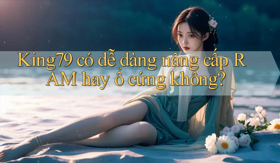 King79 có dễ dàng nâng cấp RAM hay ổ cứng không?