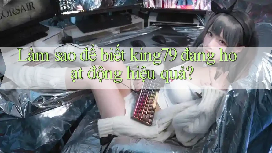 Làm sao để biết king79 đang hoạt động hiệu quả? Làm sao để biết king79 đang hoạt động hiệu quả?